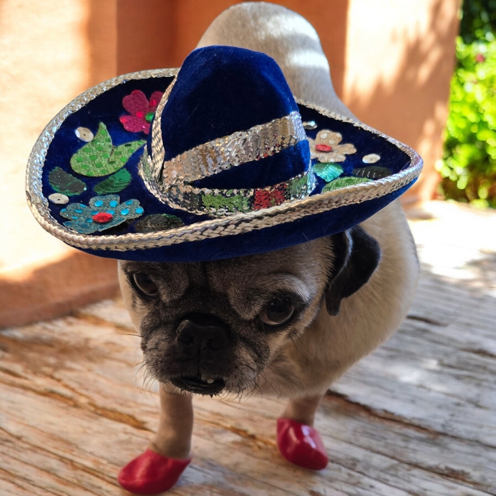 π Host Pick π Mexican Blue and Silver Small Dog Mini Sombrero - Picture 3 of 16